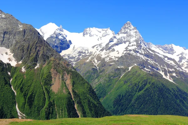 Montagne del Caucaso Dombai — Foto Stock