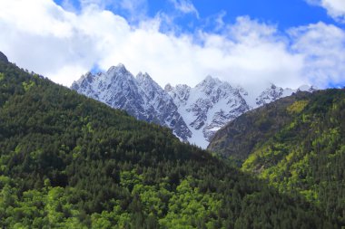 Kafkas Dağları dombai