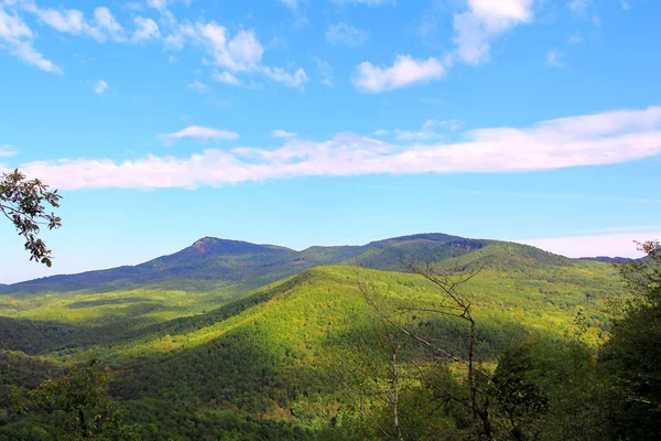 コーカサス緑豊かな山の夏の風景 — ストック写真