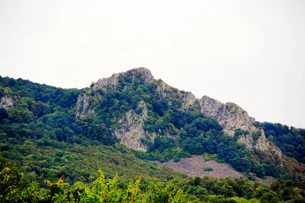 Zomer landschap met Kaukasus groene bergen — Stockfoto