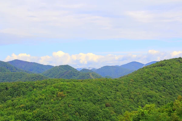 Paisagem de verão com montanhas verdes do Cáucaso — Fotografia de Stock