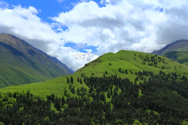 Paysage estival avec montagnes verdoyantes du Caucase — Photo