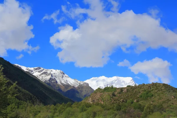 Montagnes du Caucase Dombai — Photo
