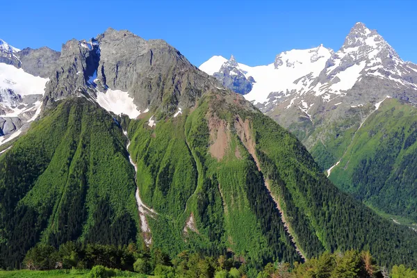 Montagne del Caucaso Dombai — Foto Stock