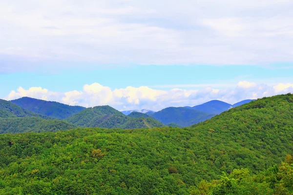 夏天风景与高加索绿山 — 图库照片