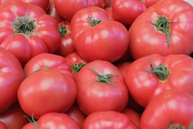 arka plan ile taze sebze