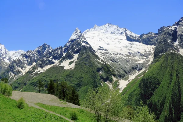 Montagne del Caucaso Dombai — Foto Stock