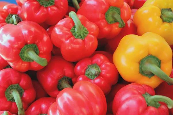 Röda och gula rå paprika — Stockfoto