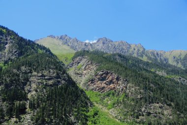 Kafkasya Yeşil dağlar