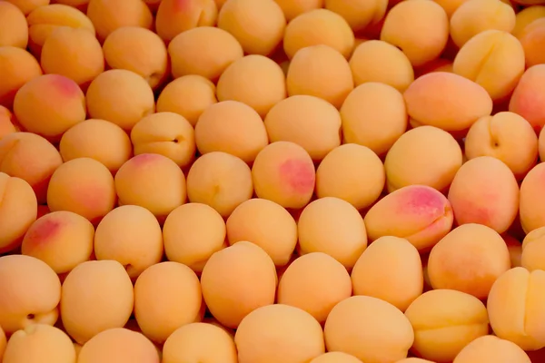 Background yellow apricots — Stock Photo, Image