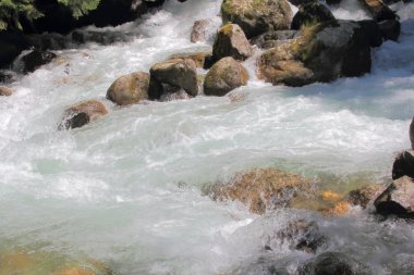Dağ nehri