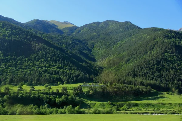 Kaukasus groene bergen — Stockfoto