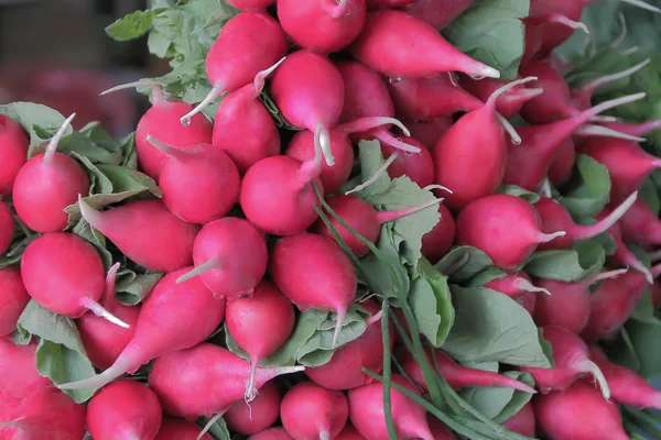 Fresh radish and foliage — Stock Photo, Image