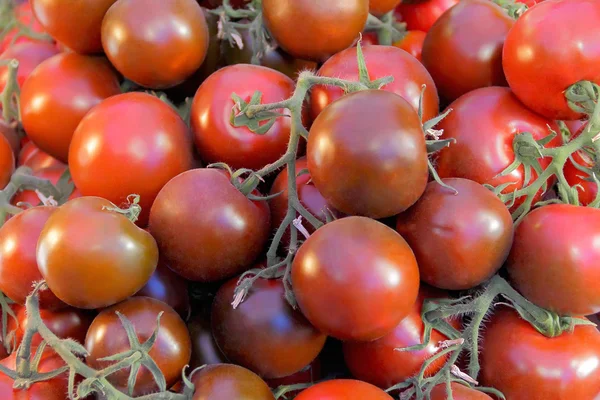 Hintergrund mit frischem Gemüse — Stockfoto