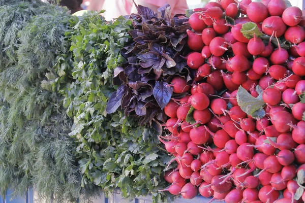 Fresh radish and foliage — Stock Photo, Image