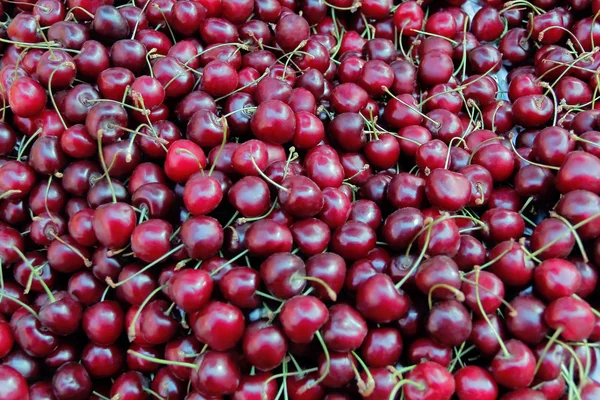 Background cherry — Stock Photo, Image