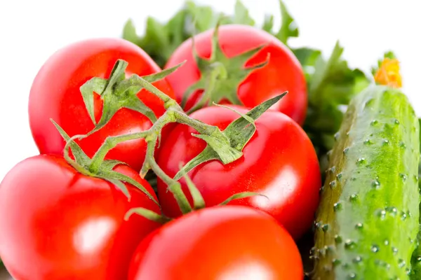 Gurken und Tomaten — Stockfoto