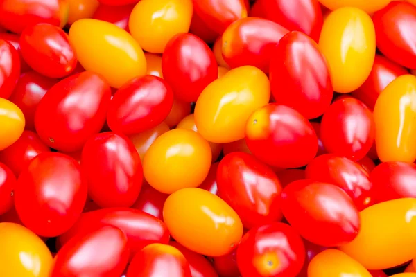 Bakgrund med färska tomater — Stockfoto
