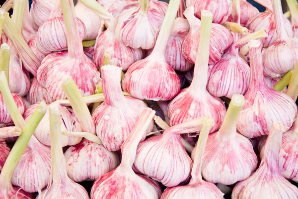 Background of fresh garlic — Stock Photo, Image