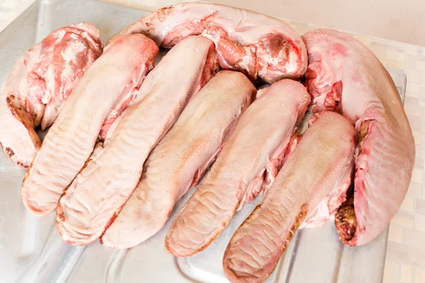 Raw pork tongue — Stock Photo, Image