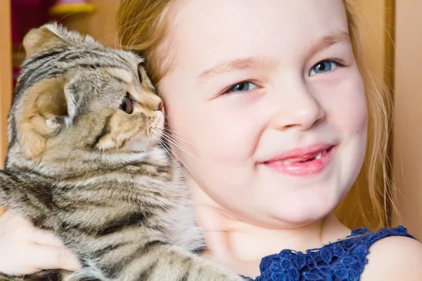 Meisje met grijze kitty — Stockfoto