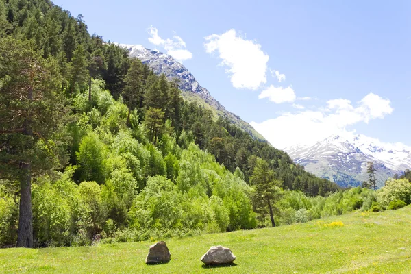 Caucasus green mountains — Stock Photo, Image