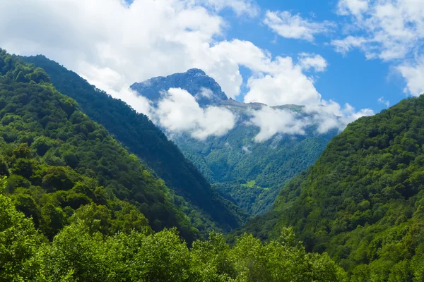 코 카 서 스 녹색 산 — 스톡 사진
