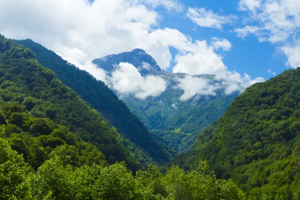 Kavkaz zelené hory — Stock fotografie