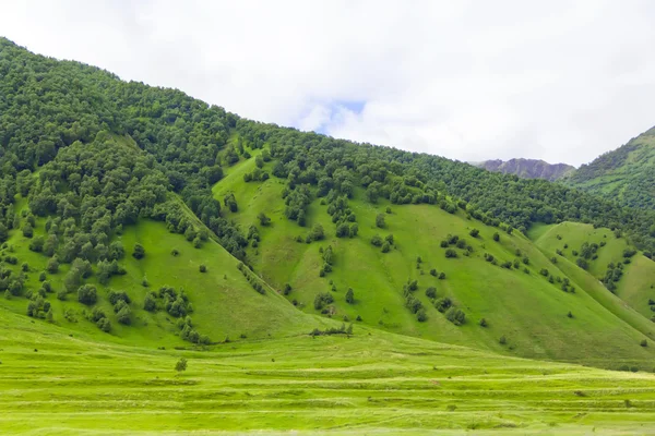 Kaukasus groene bergen — Stockfoto