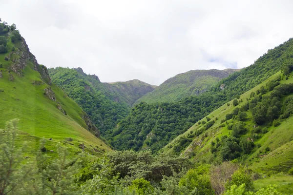 Caucasus montanhas verdes — Fotografia de Stock