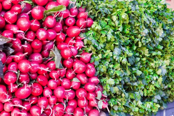 Fresh radish and foliage — Stock Photo, Image