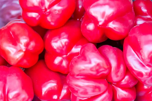 Röd rå paprika — Stockfoto