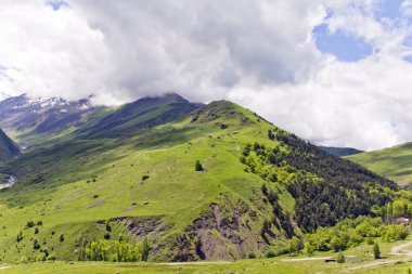 Kafkasya Yeşil dağlar