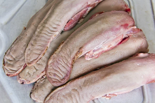 Ruwe varkensvlees tong — Stockfoto