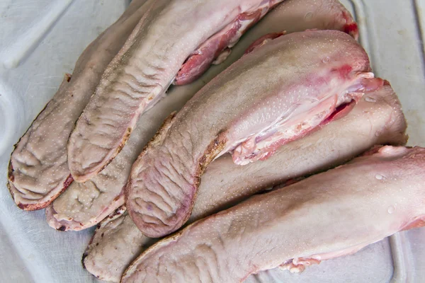 Lengua de cerdo cruda — Foto de Stock