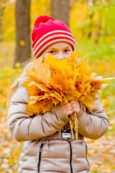 Leuk meisje in de herfst — Stockfoto