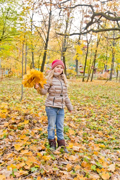 Leuk meisje in de herfst — Stockfoto