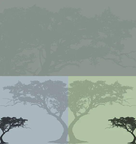 Conjunto abstracto de siluetas de árboles — Foto de Stock