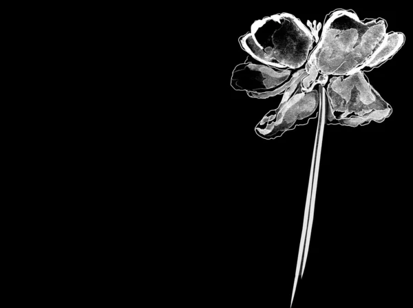 Akwarela tło z kwiatami — Zdjęcie stockowe