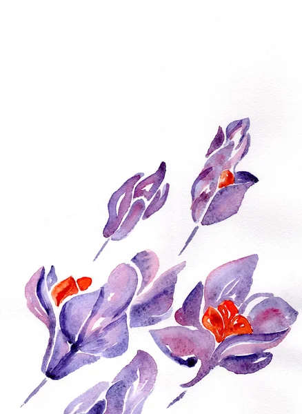 Art illustration of flowers in watercolor paintings — Stock Photo, Image