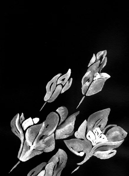 Kunst Illustration von Blumen in Aquarellmalerei — Stockfoto