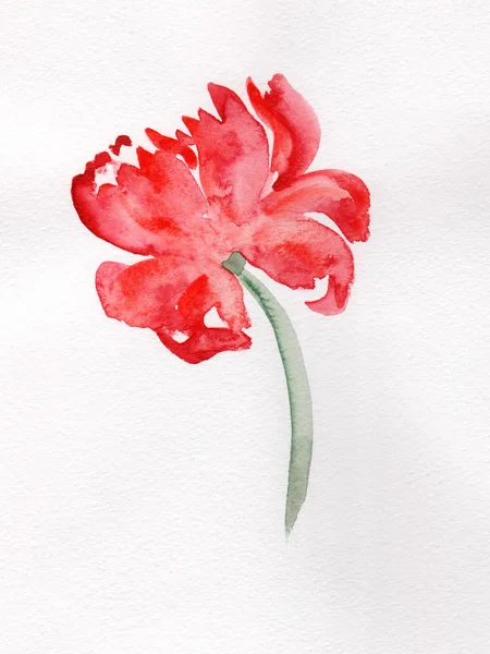 Watercolor flower — Stock Photo, Image