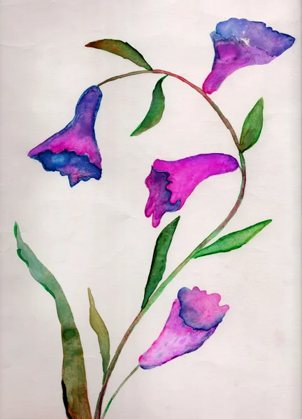 Beauty flower, watercolor illustration — Stock Photo, Image