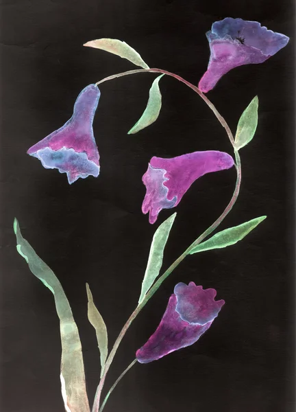 Schoonheid bloem, aquarel illustratie — Stockfoto
