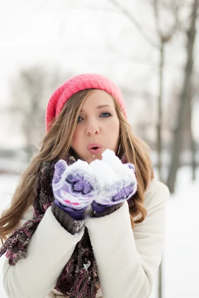 Magia de invierno — Foto de Stock