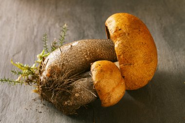 Turuncu-cap boletus mantar üstünde ahşap kutu