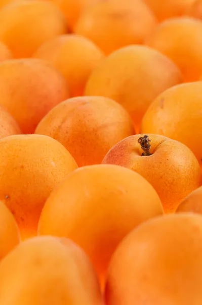 Apricots background, full frame, shallow DOF — Stock Photo, Image