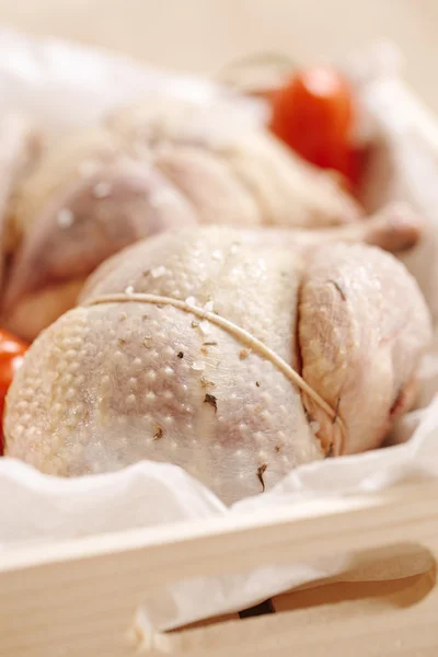 Two pheasants bird, plucked and stuffed in wooden box — Stock Photo, Image