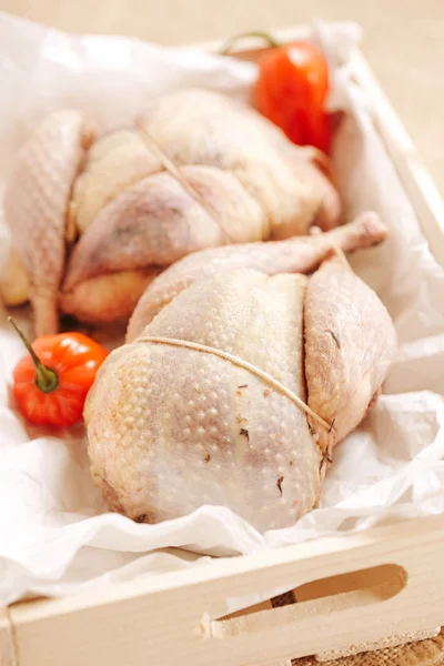 Two pheasants bird, plucked and stuffed in wooden box — Stock Photo, Image