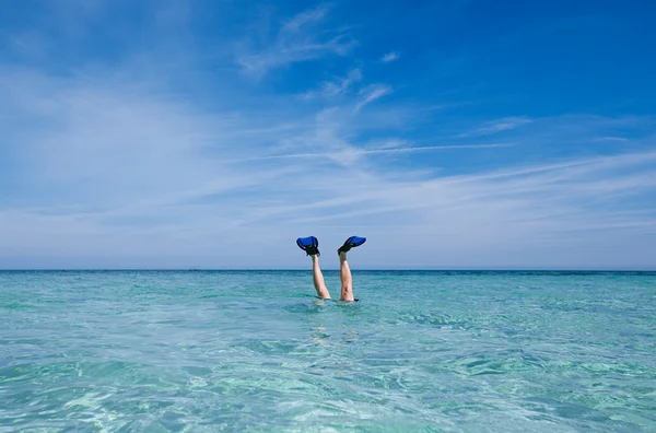 Barbatanas e diversão no mar de carniça azul — Fotografia de Stock